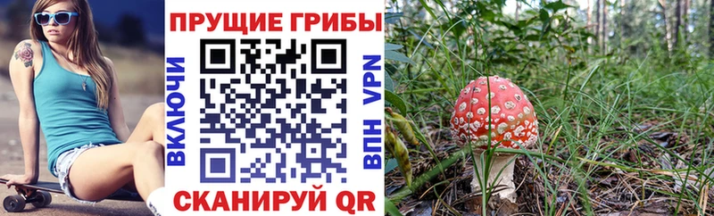 Псилоцибиновые грибы ЛСД Стрежевой